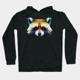 Raccoon Polygon Head Hoodie